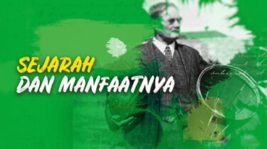 Basket: Sejarah dan Manfaatnya