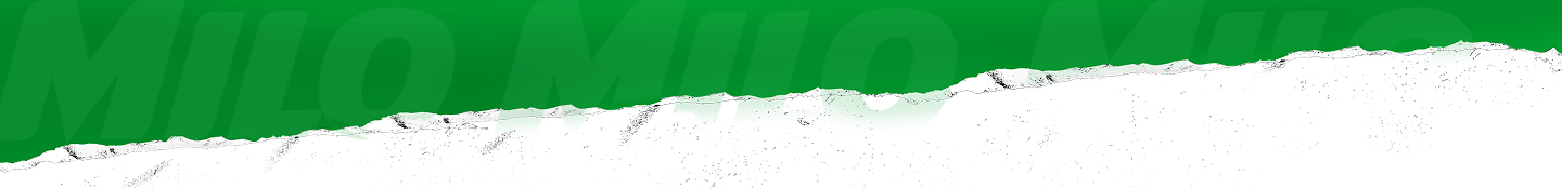 milo pro frame