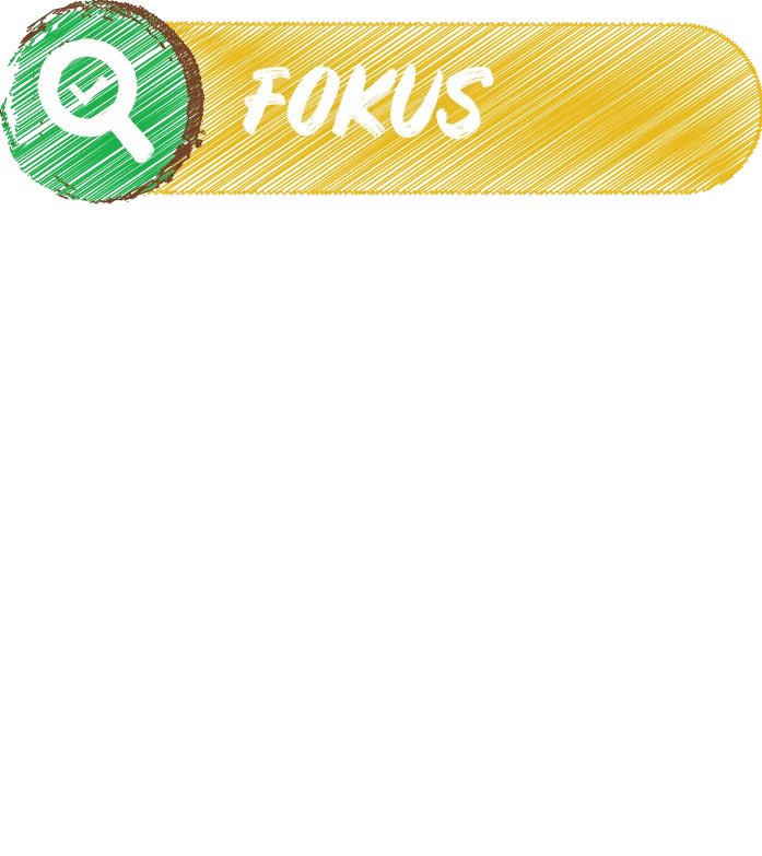 Fokus